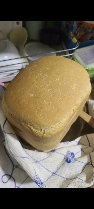 Хлібопічка Delimano Joy BM4406G, хлебопечка