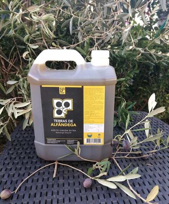 Azeite Virgem Extra Transmontano