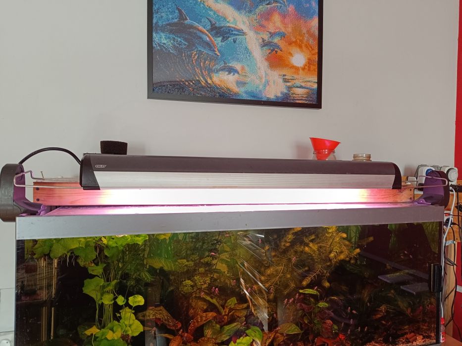 Lampa do akwarium
