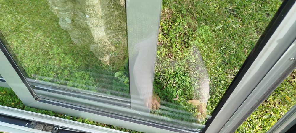 Double-leaf Window – Double Glazing445595700702760963