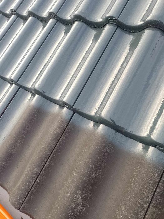 Mycie i malowanie dachów,elewacji i kostki brukowej