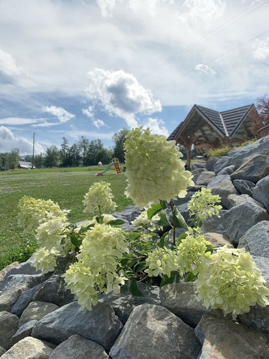 Domki Z Jacuzzi Gubałówka apartament centrum Zakopane