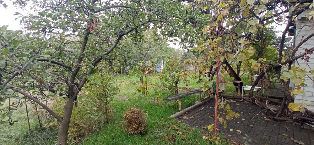 Продам будинок , дачу с.Червона Слобода