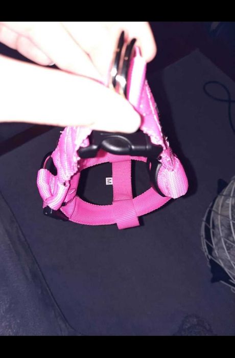 Trela cor de rosa com luz