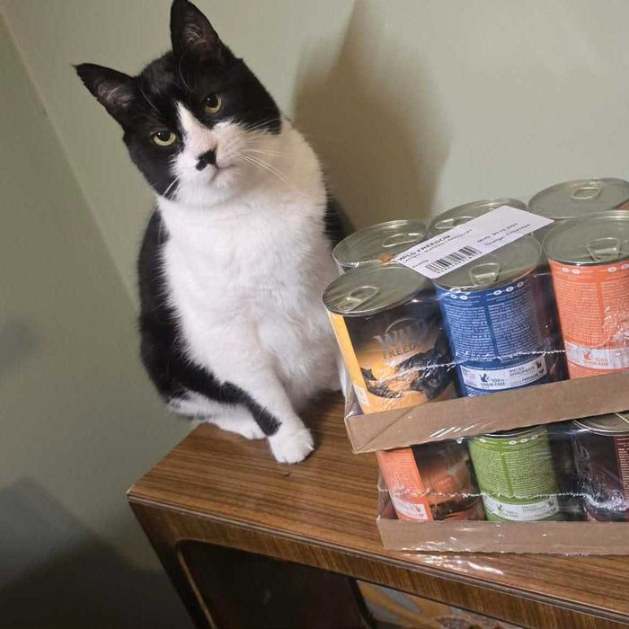 Miluś z Grecji marzy o swoim domu