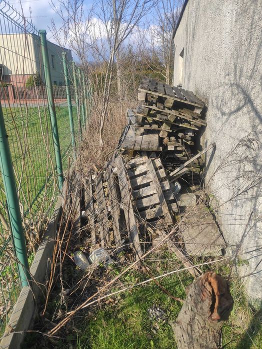 Drewno na opał za darmo!