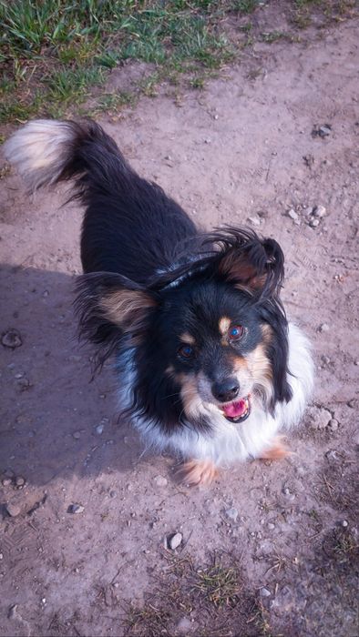 Naprawdę nikt ? PILNE