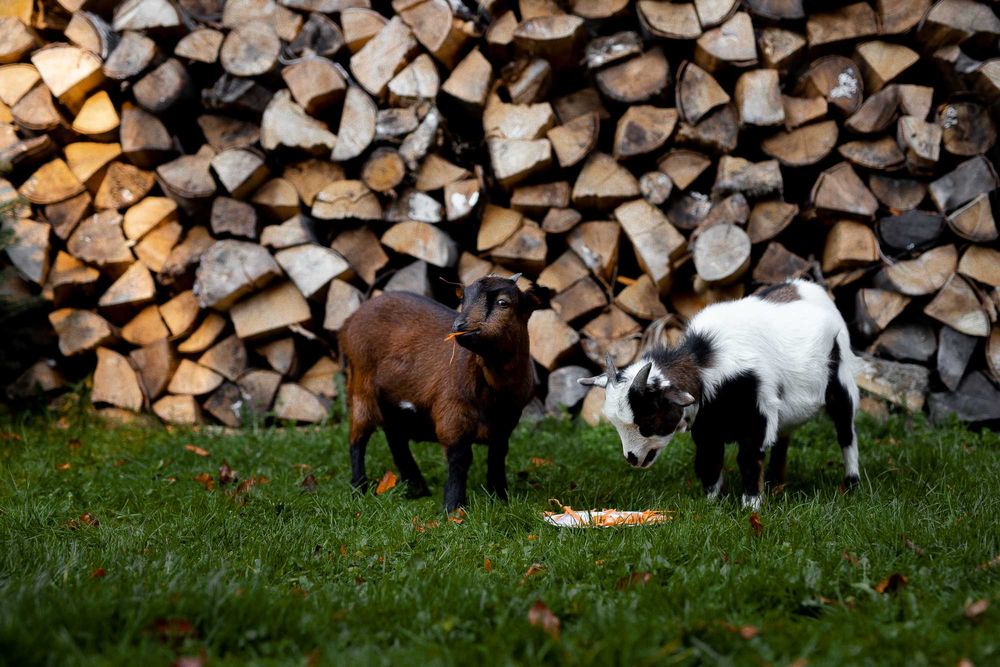 Pokoje Ustroń noclegi Agroturystyka Folwarczek - wysoki standard