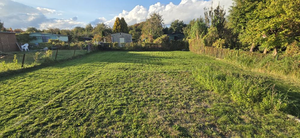 Działka ROD im. Sikorskiego 287 m² | Gdynia Hutnicza 67 / Rumia | Prąd, woda | Nowe ogrodzenie i furtka | Zadbana, gotowa do zagospodarowania - Widok 4
