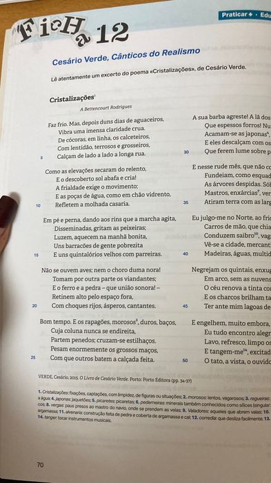 Livro de exercícios Português 11° ano