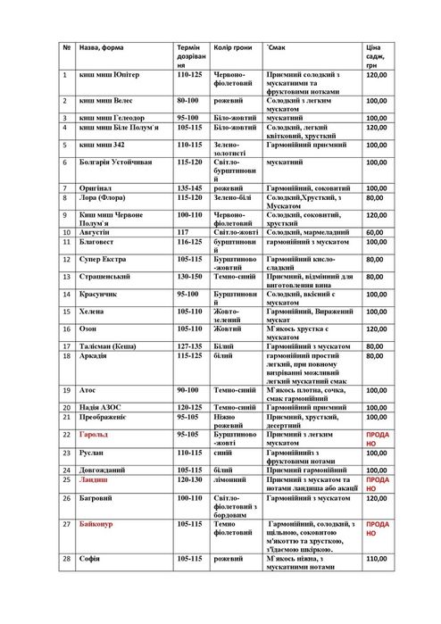 Саджанці винограда весна  2026. Киш Миш, Столовий