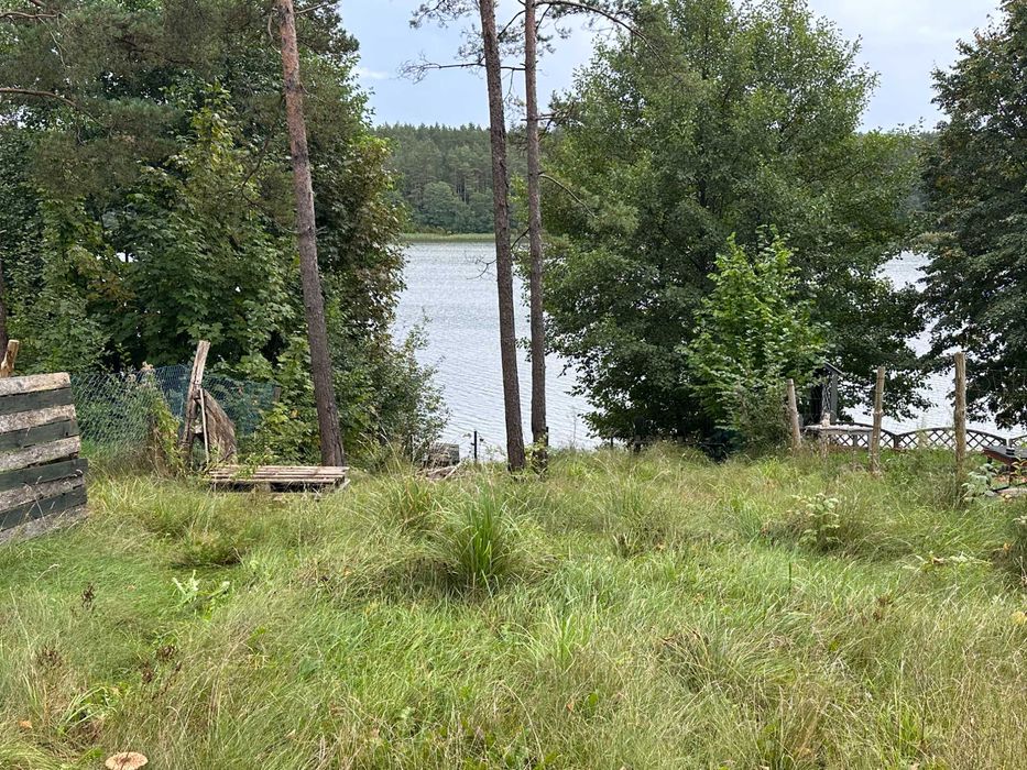 Odstąpię dzierżawę działki leśnej na Kaszubach - Widok 3