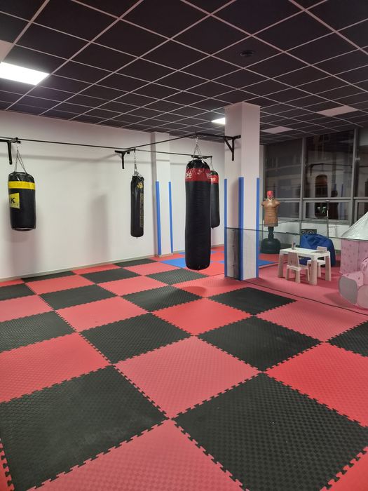 Wynajmę salę pod trening