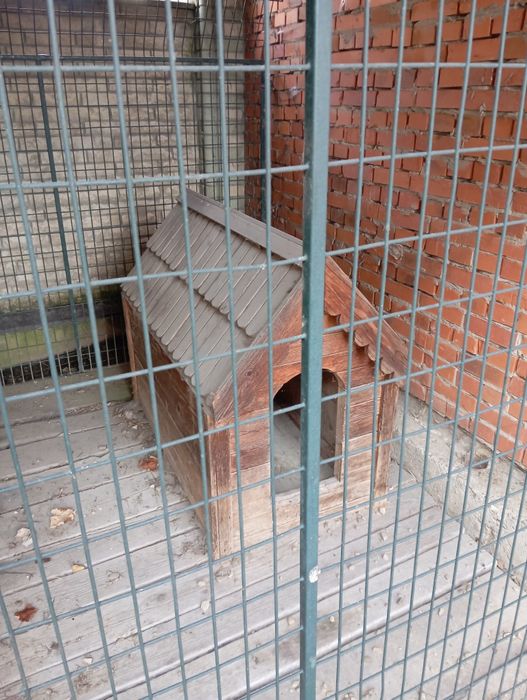 Вольєр для собаки разом з будою як на фото.