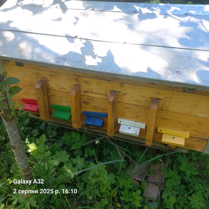 Продається нуклеус на 10 маткомісць