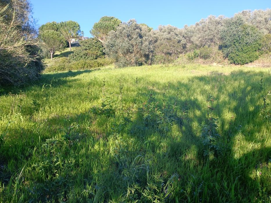 Quintinha , lote de terreno ,  monte , fazenda