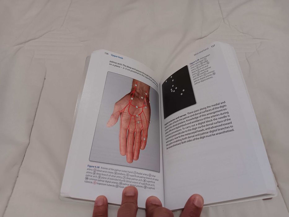 Book "Surface Anatomy"64737763564801121