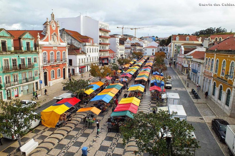 Moradia em Madeira T3  com terreno espaçoso  em Caldas da Rainha