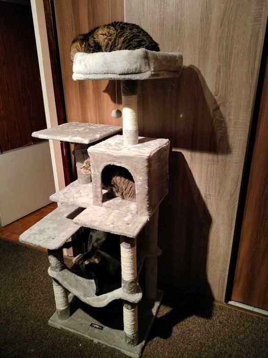 Drapak dla kota Wysoki duży drapak dla kota domek legowisko 143cm NOWY