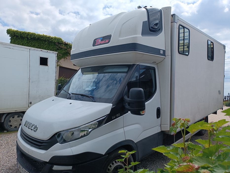 Transport przeprowadzki transport zwierząt