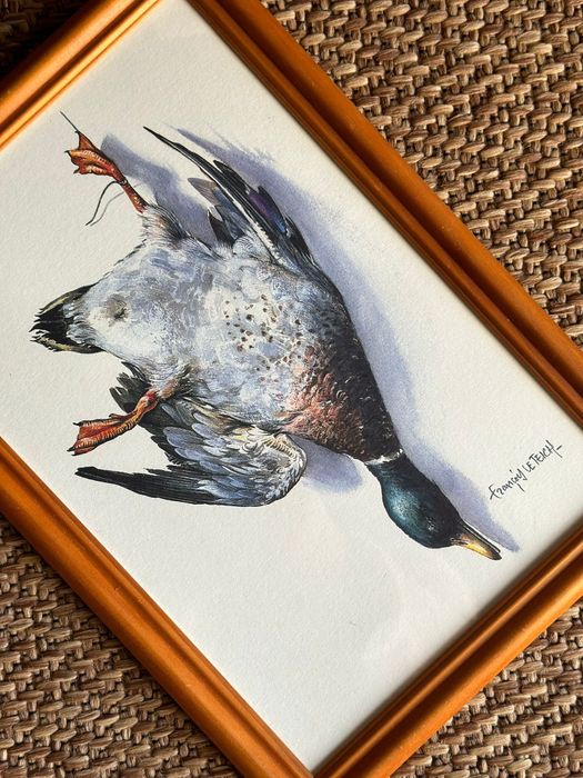 Quadros pinturas com pato real e codorniz
