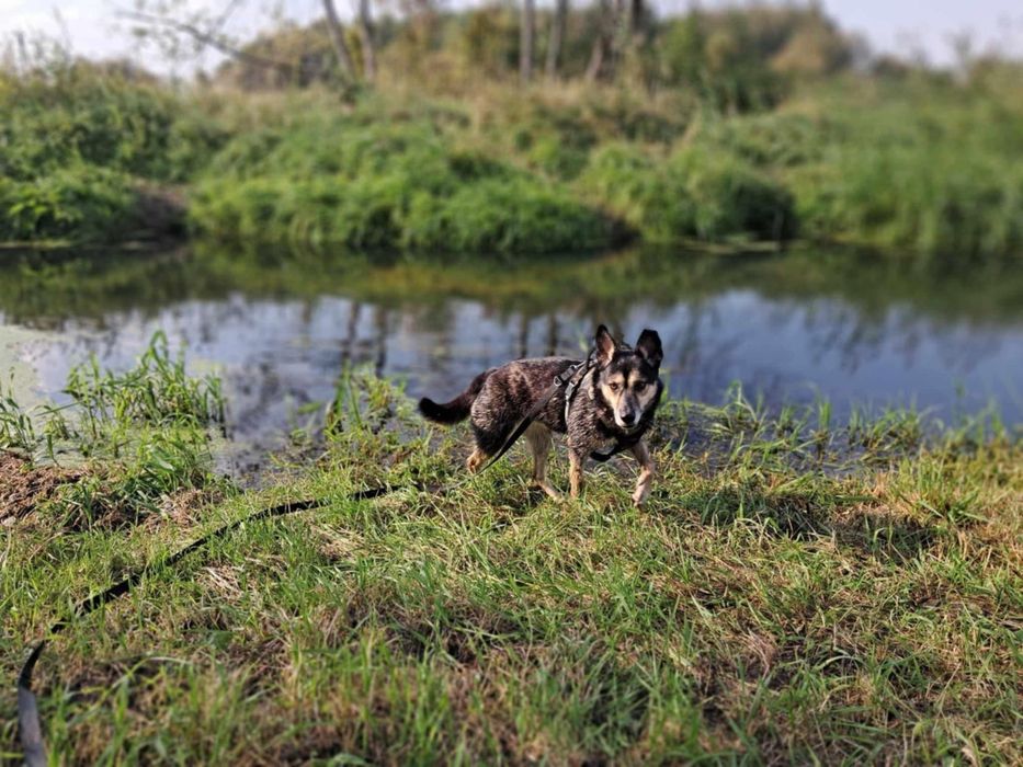 Fiszka ciągle jeszcze liczy na cud!