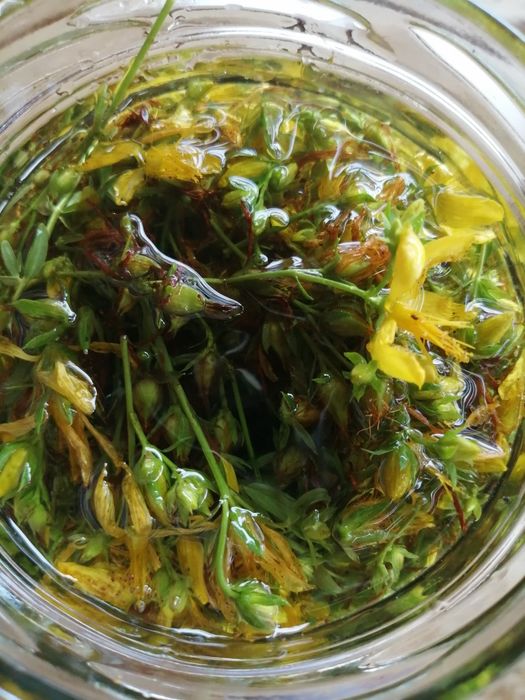 Olej z dziurawca (oliwa świętojańska)