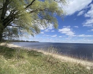 Земельна ділянка Глібівка Вишгородський р-н