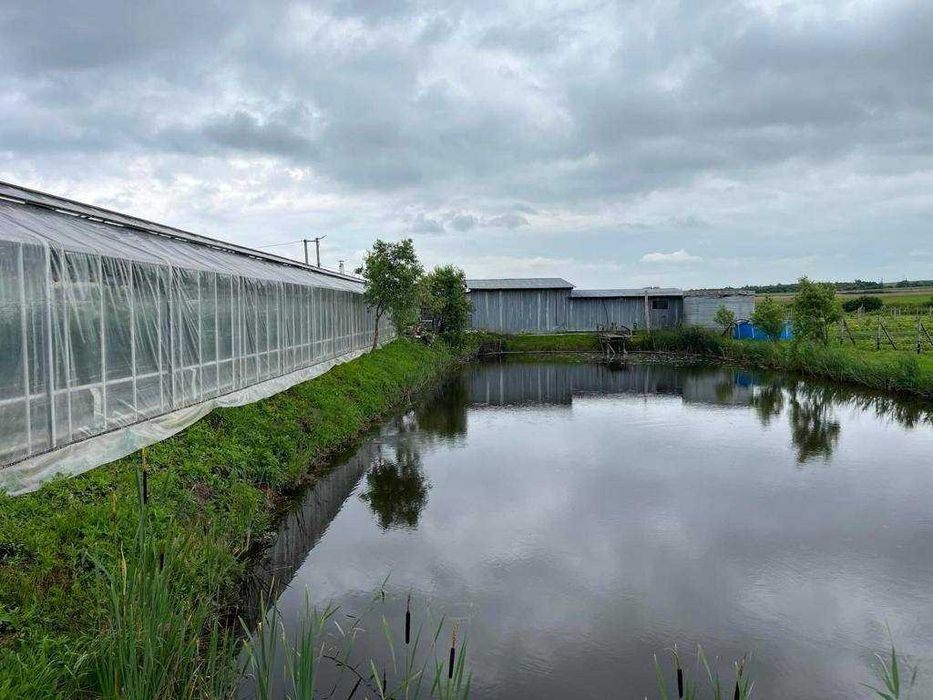 Продаж земельної ділянки з садівництвом м. Жовква с. Блищиводи