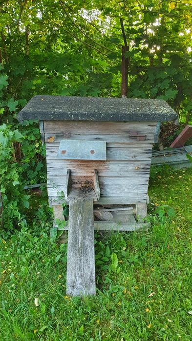 Sprzedam ule ul z pszczołami pszczoły pasieka