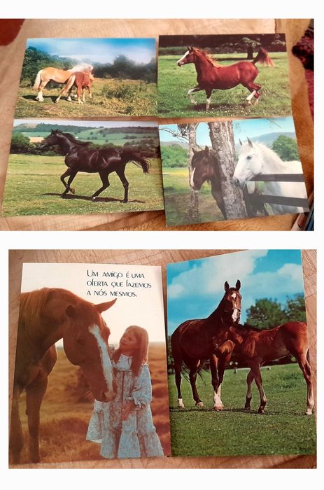 V postais a 0,45€ cavalos,flores, etc