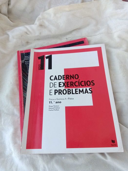 Livros de Física 11º F11
