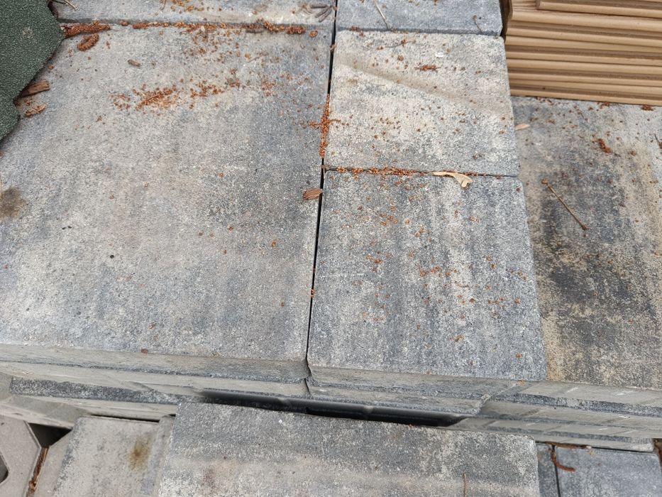 Płyta betonowa przełom skalny wapień dwoński 6cm