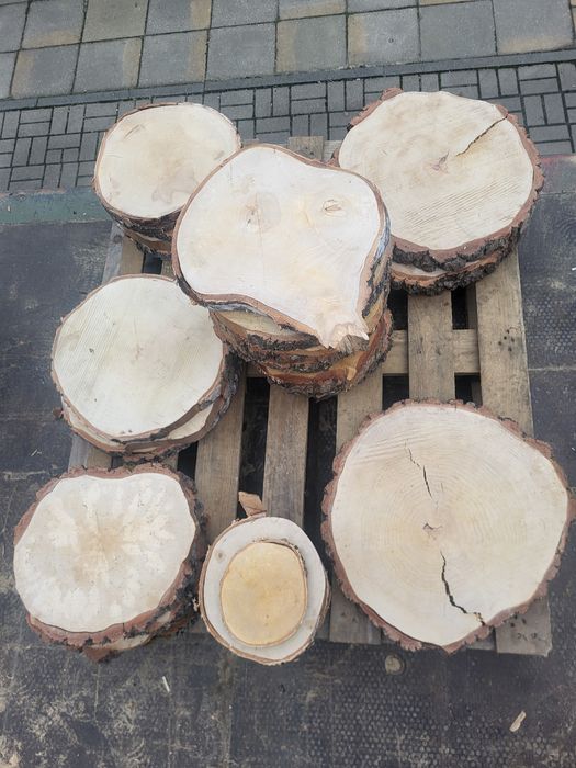 Plastry drzewa PROMOCJA ,brzozowe,podkładka ,stolik