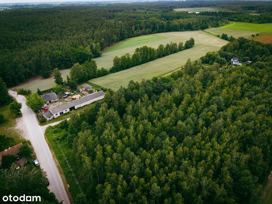 Działki budowlane w Kwilnie – spokój i natura - Więcej