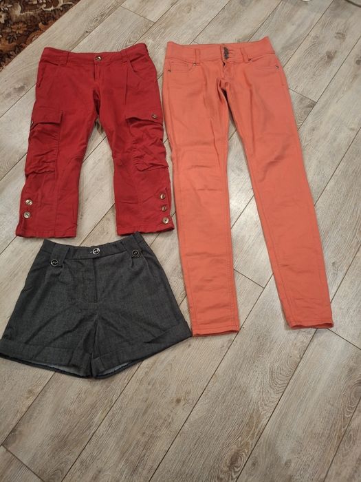 Штани, бріджи, шорти