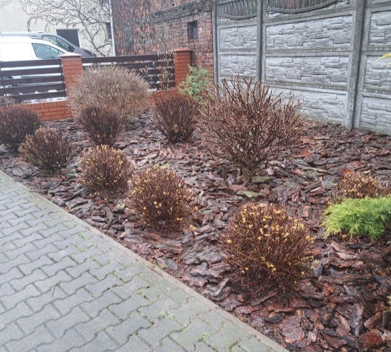 Kora sosnowa 80l 14zł Dostawa