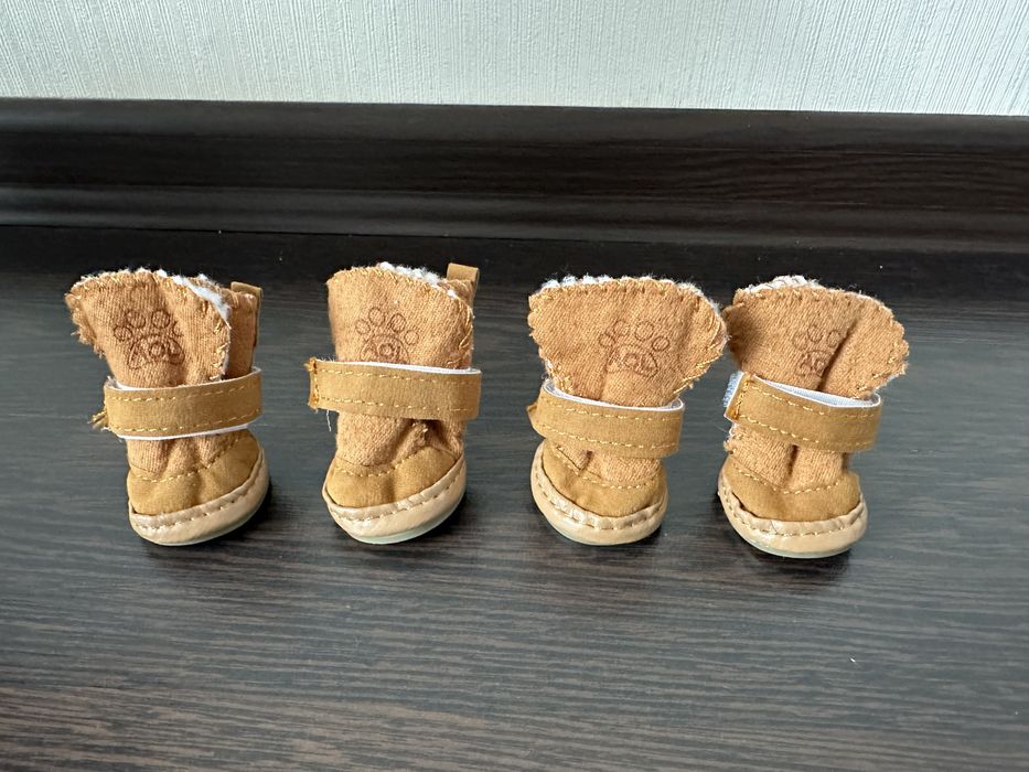 Взуття для собаки