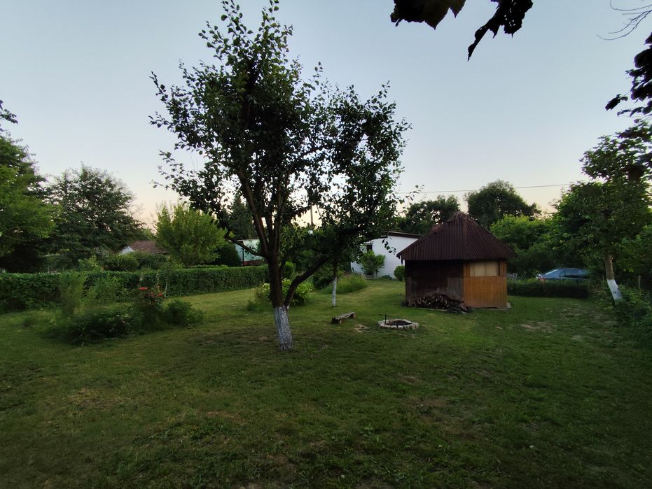 Działka rekreacyjna ROD Brzezie prąd studnia altana 447 m² - Widok 3