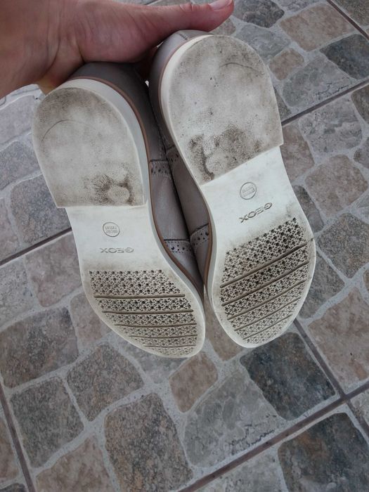 oksfordy geox 37