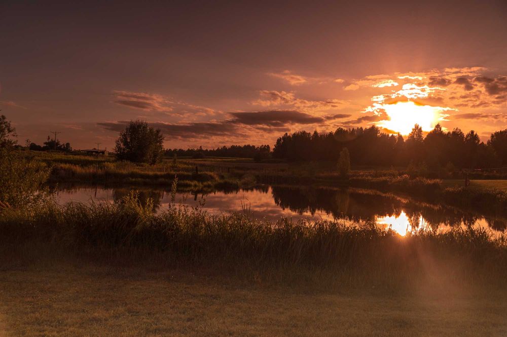Dom  Nad Stawem do wynajęcia