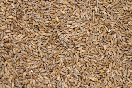 Sprzedam owies pszenicę żyto