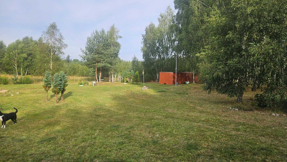 Piekna dzialka rekreacyjna o powierzchni 1500 m², urzadzona na wzniesieniu z garazem, pradem - Widok 3