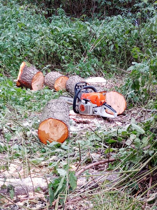 Stemple,słupki do siatki leśnej,ogrodzeniowe. Drewno kominkowe/opałowe
