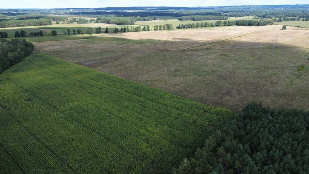 sprzedam grunty rolne