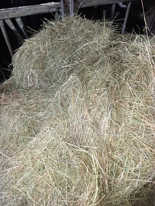 Siano ze stodoły