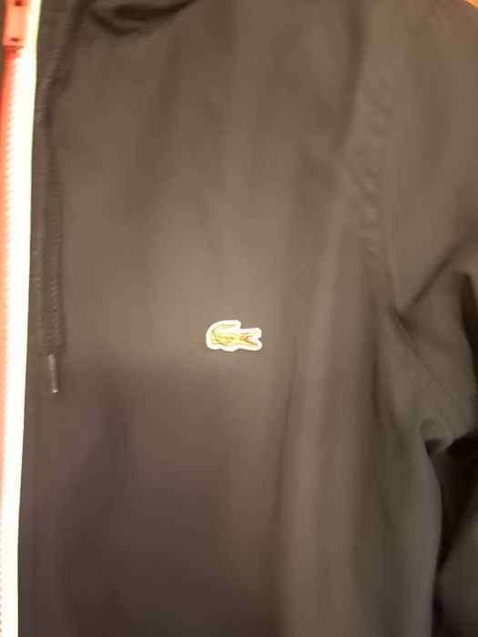 Blusão/Parka  Lacoste