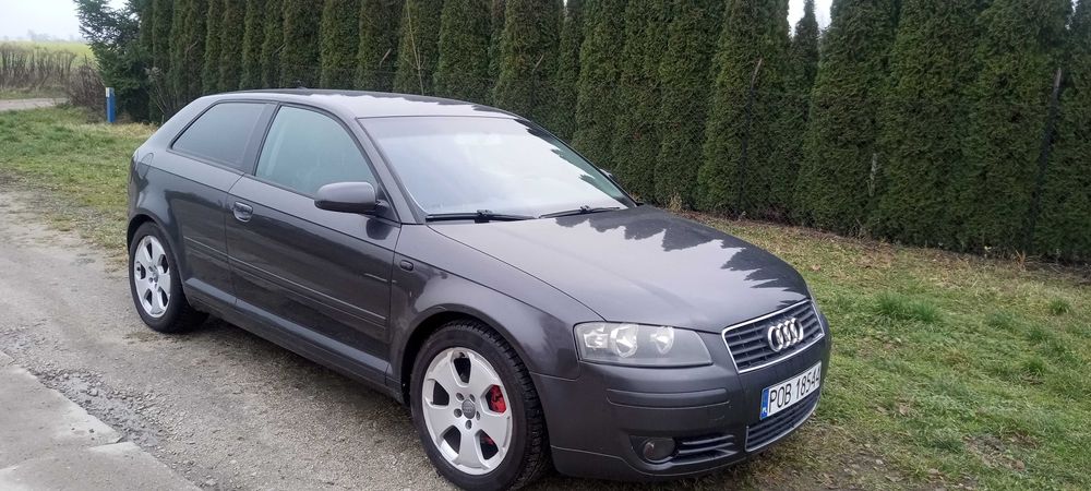 Audi A3 1.6 MPI Zadbany Alus Klima Hak Zamiana