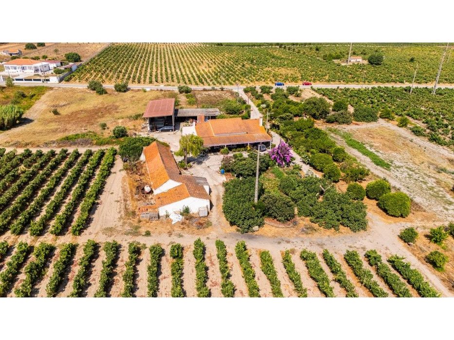 Herdade vinhateira próxima de Setúbal