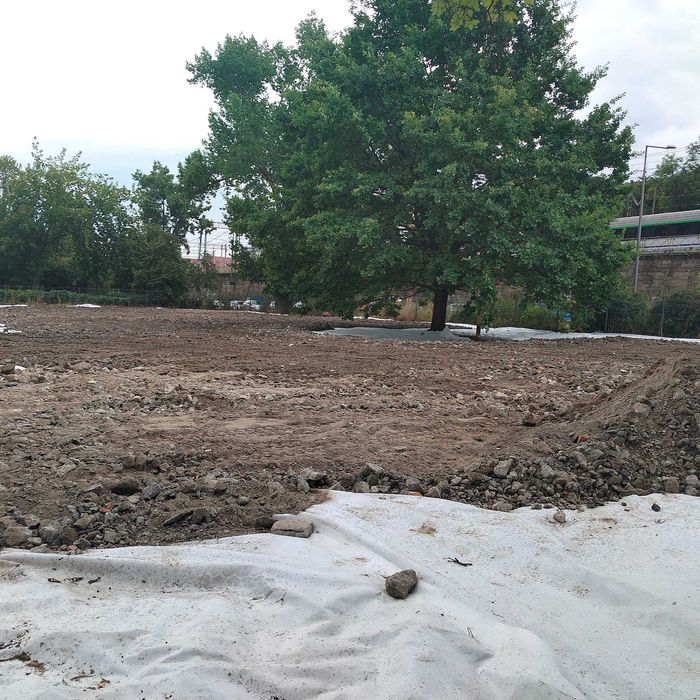 GreenAxe – wycinka drzew i porządkowanie działek